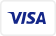 VISA Payment Icon